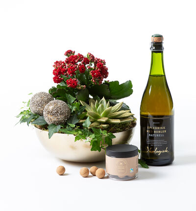 Rød allergivennlig julegruppe med bobler og sjokolade Rød allergivennlig julegruppe med bobler og sjokolade